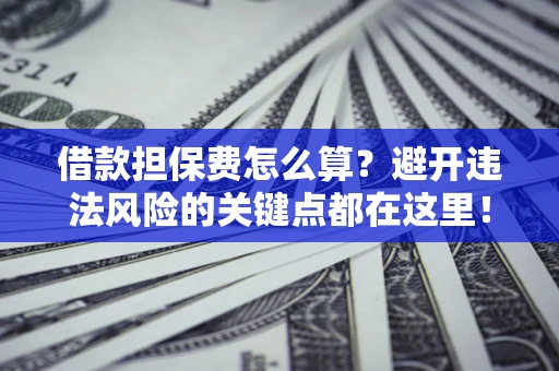济南借款担保费怎么算？避开违法风险的关键点都在这里！