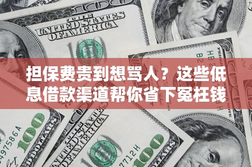济南担保费贵到想骂人？这些低息借款渠道帮你省下冤枉钱