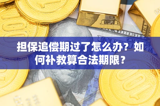 济南担保追偿期过了怎么办？如何补救算合法期限？