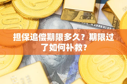 济南担保追偿期限多久？期限过了如何补救？
