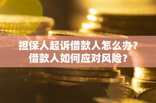 济南担保人起诉借款人怎么办？借款人如何应对风险？
